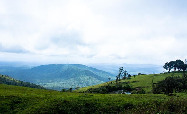 至整个中超 至整个中超