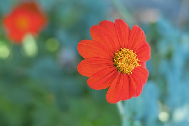 奇的影响 奇的影响