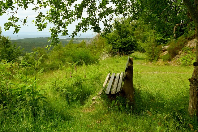 个人的课题 个人的课题