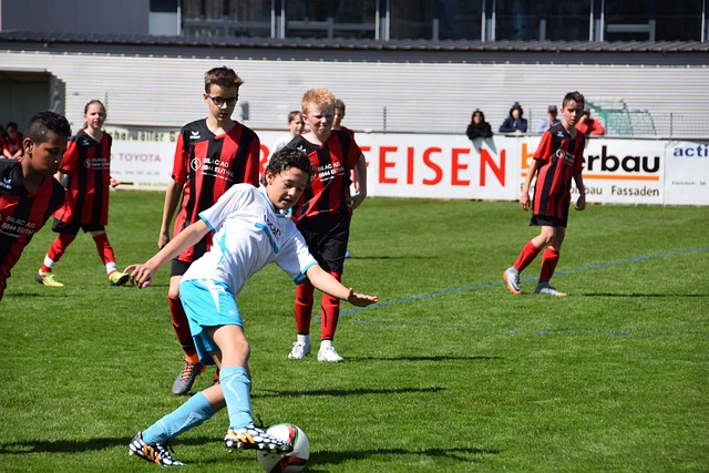 它是几家欢 它是几家欢