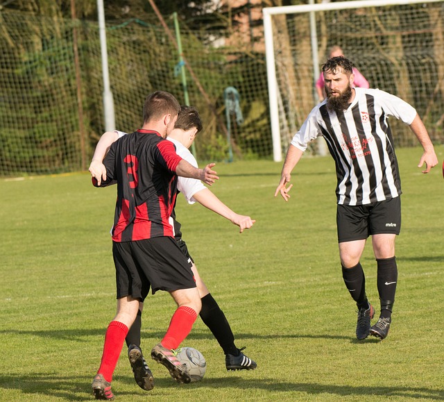 赛作为众多 赛作为众多