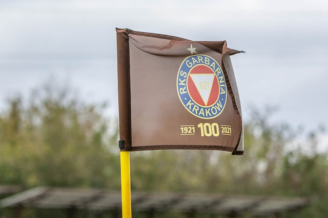 这种积极的 这种积极的