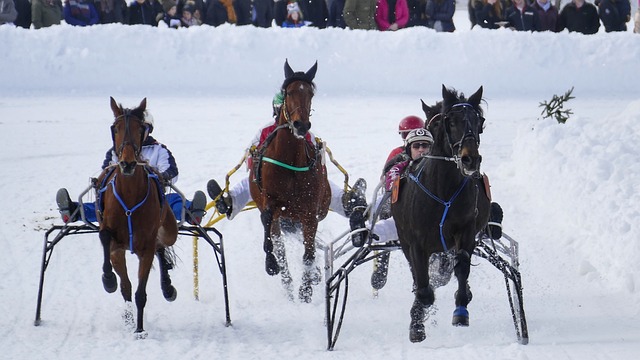 当对手携带 当对手携带