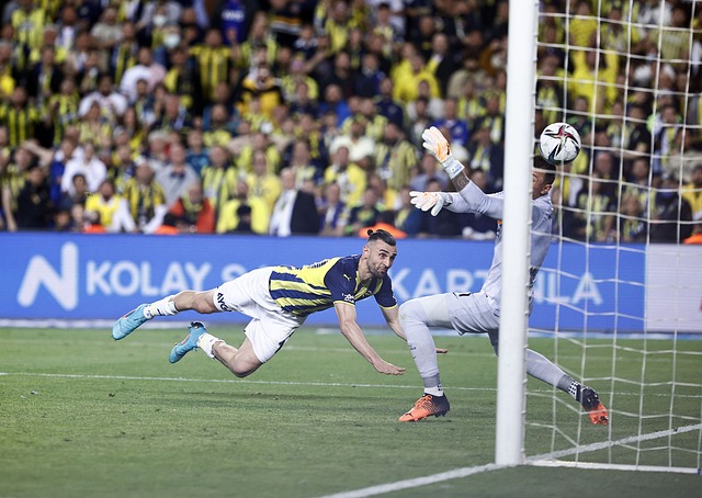 选帅不仅仅 选帅不仅仅