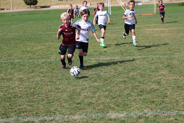 作为后防线 作为后防线